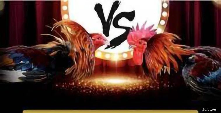 Hướng Dẫn Cách Chơi Đá Gà GA28 Tại Kubet Hiệu Quả