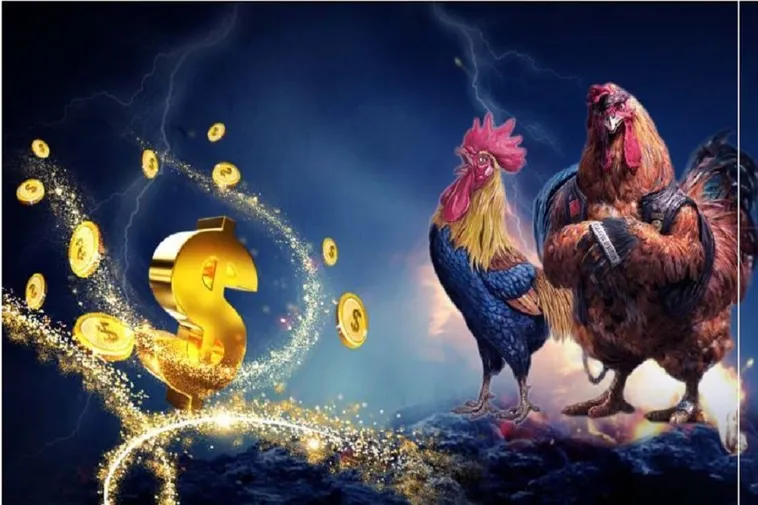 Khám Phá Đá Gà Kubet: Giải Trí Đỉnh Cao 2025 1 Khám Phá Đá Gà Kubet: Giải Trí Đỉnh Cao 2025