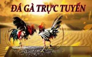Hướng Dẫn Cách Chơi Đá Gà 3D Tại Kubet Hiệu Quả Nhất