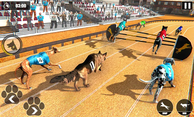 Cách Chơi Game Nhanh Đua Chó Tại Kubet Chi Tiết