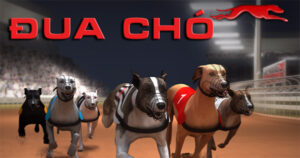 Cách Chơi Game Nhanh Đua Chó Tại Kubet Chi Tiết